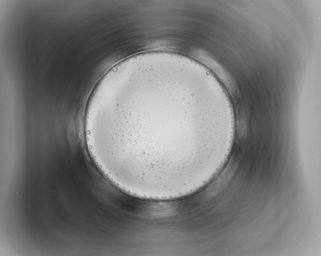 X0000100941338200807221150