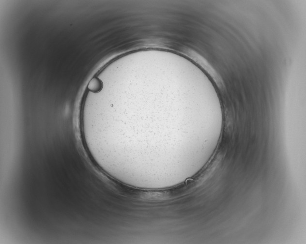 X0000100941339200807221150