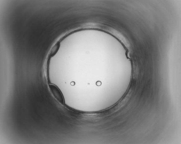 X0000100941342200807221150