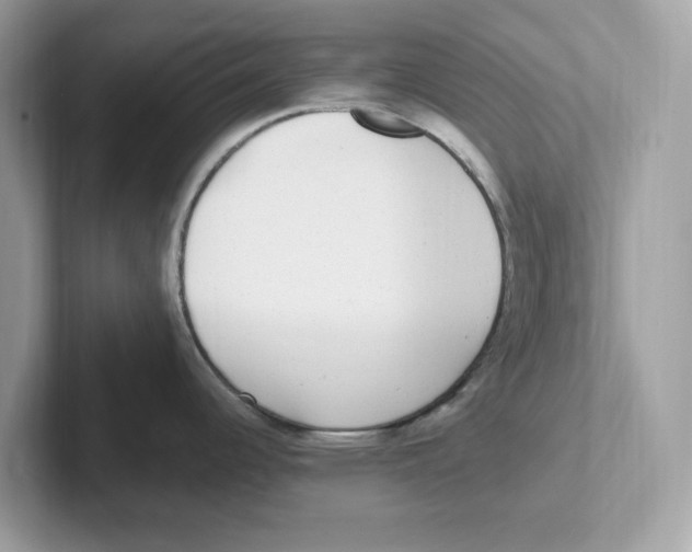 X0000100941344200807221150