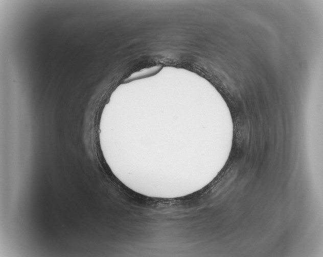 X0000100941345200807221149