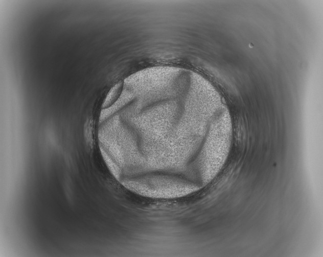 X0000100941346200807221149