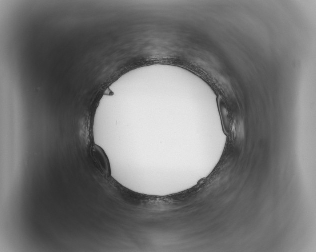 X0000100941348200807221149