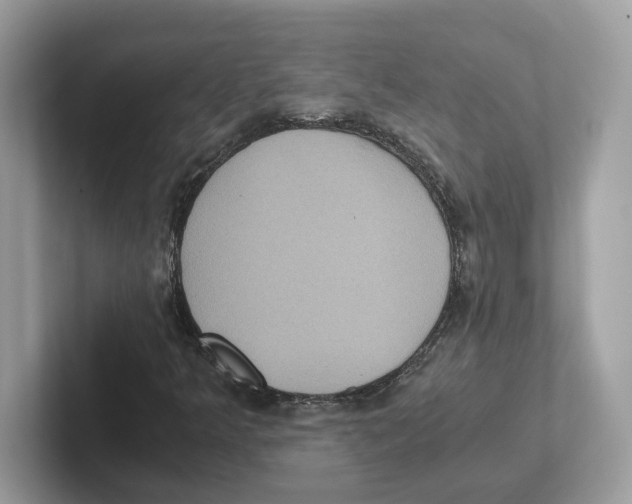 X0000100941349200807221149