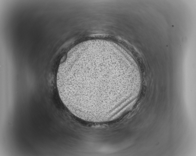 X0000100941351200807221149