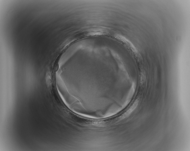 X0000100941353200807221149