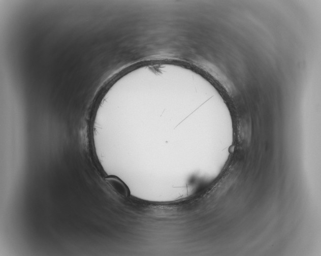 X0000100941356200807221149