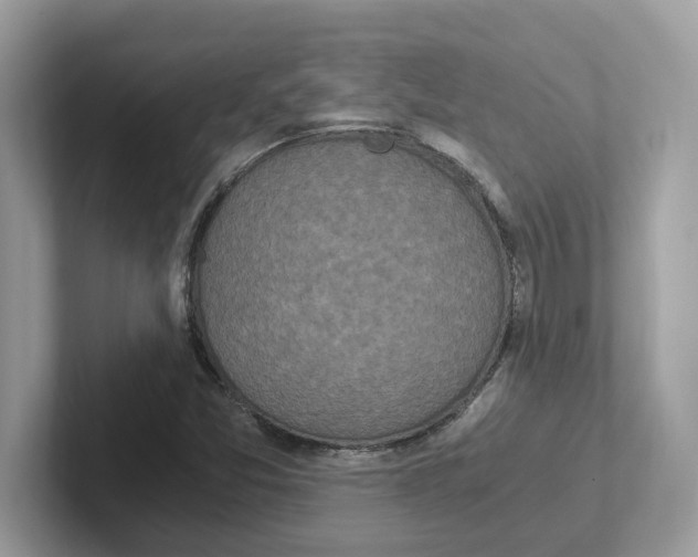 X0000100941357200807221149