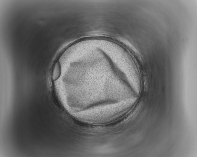 X0000100941358200807221149