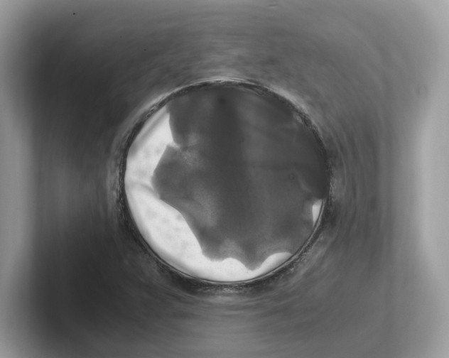 X0000100941359200807221149