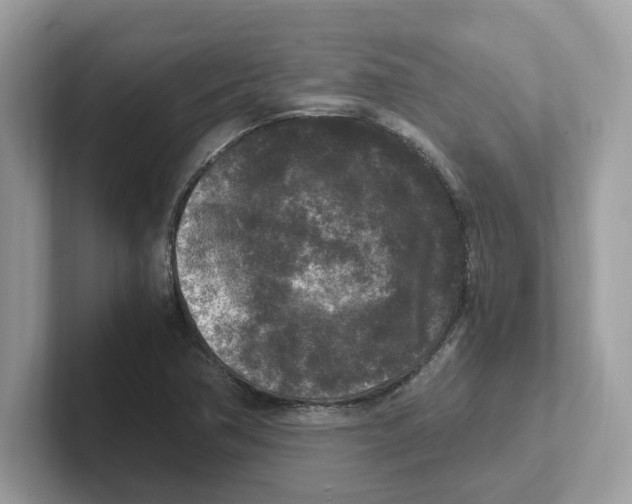 X0000100941362200807221149