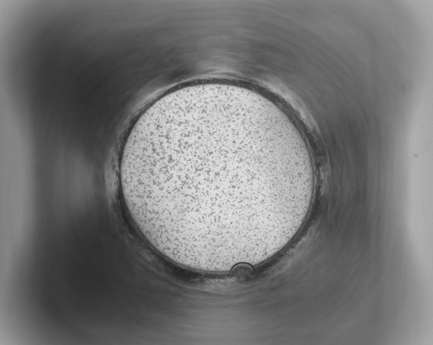 X0000100941363200807221149