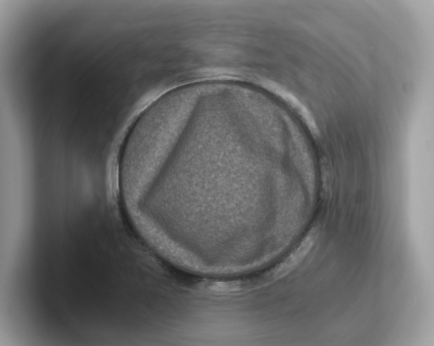 X0000100941365200807221149