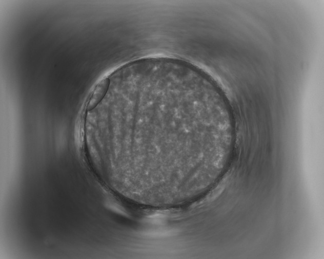 X0000100941367200807221149