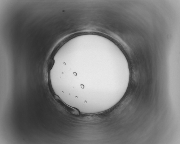 X0000100941368200807221149