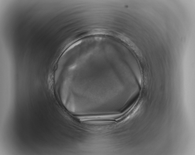 X0000100941369200807221149