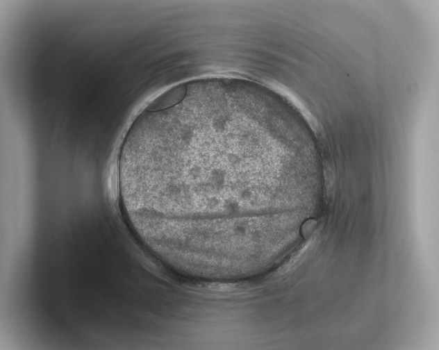 X0000100941371200807221149