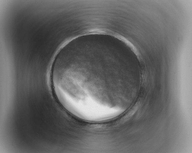 X0000100941373200807221149