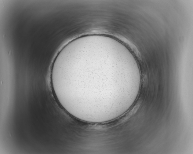 X0000100941374200807221149