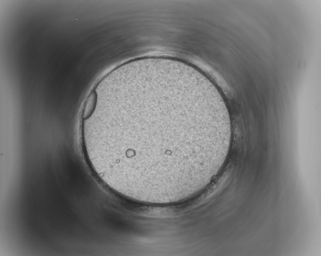 X0000100941375200807221149