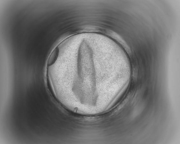 X0000100941378200807221149