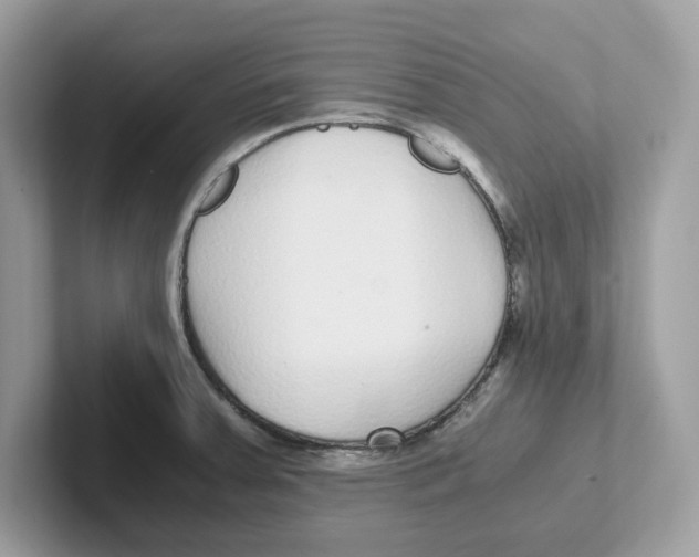 X0000100941379200807221149