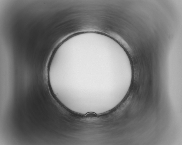 X0000100941380200807221149