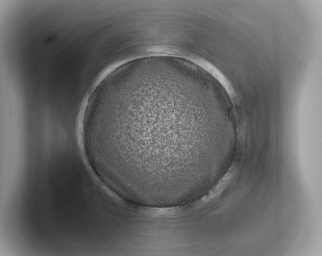 X0000100941381200807221149