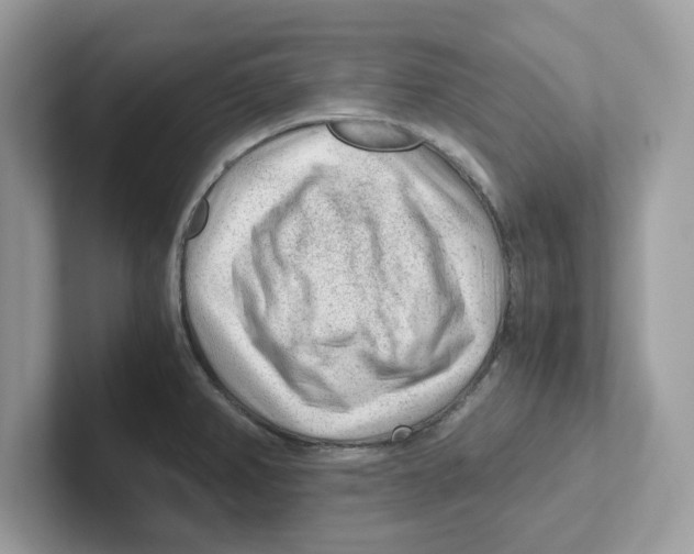 X0000100941382200807221148