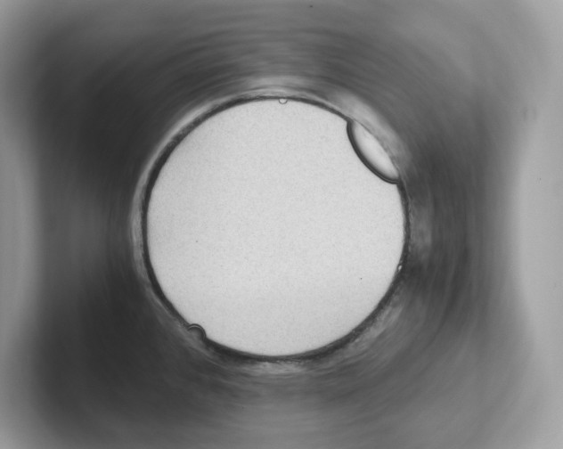 X0000100941384200807221148