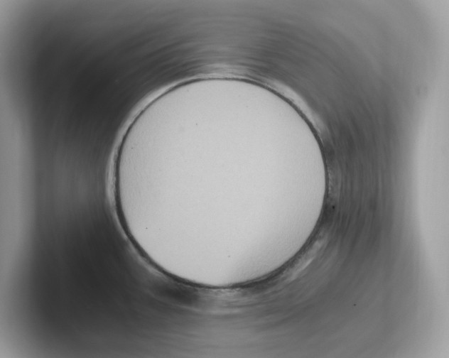 X0000100941387200807221148