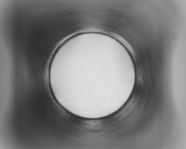 X0000100941388200807221148