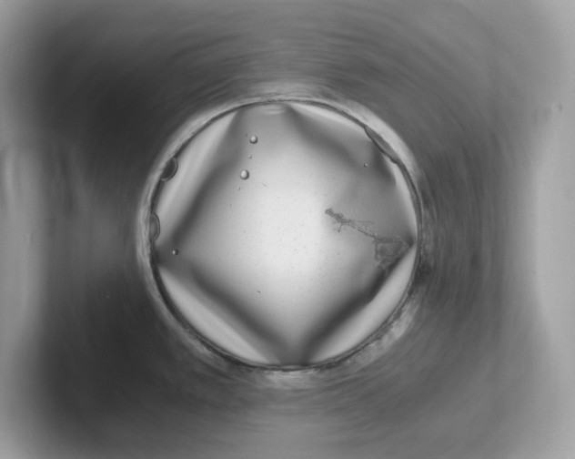 X0000100941389200807221148