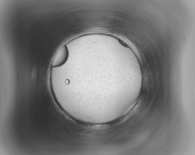 X0000100941390200807221148