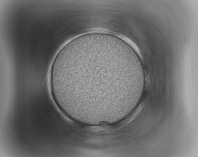 X0000100941391200807221148