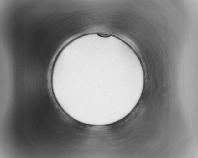 X0000100941392200807221148