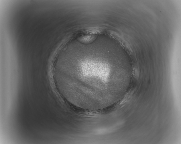 X0000100941393200807221148