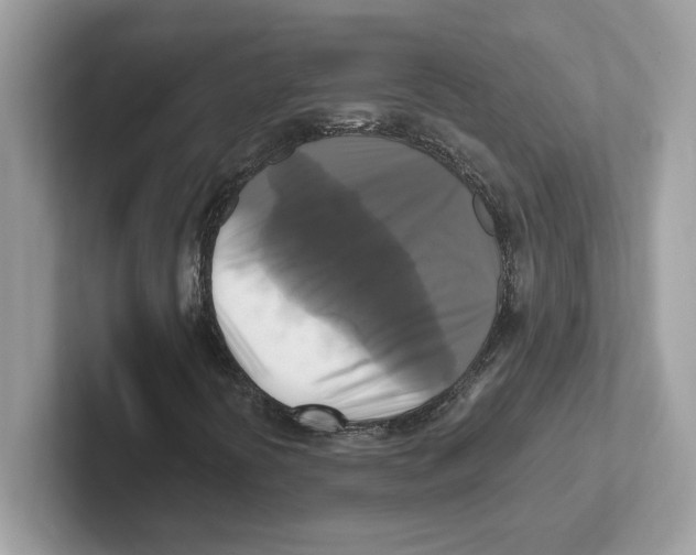 X0000100941394200807221148