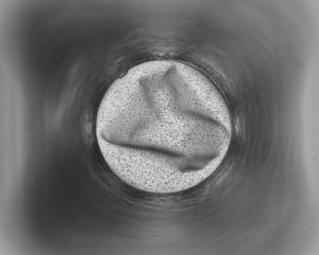 X0000100941396200807221148