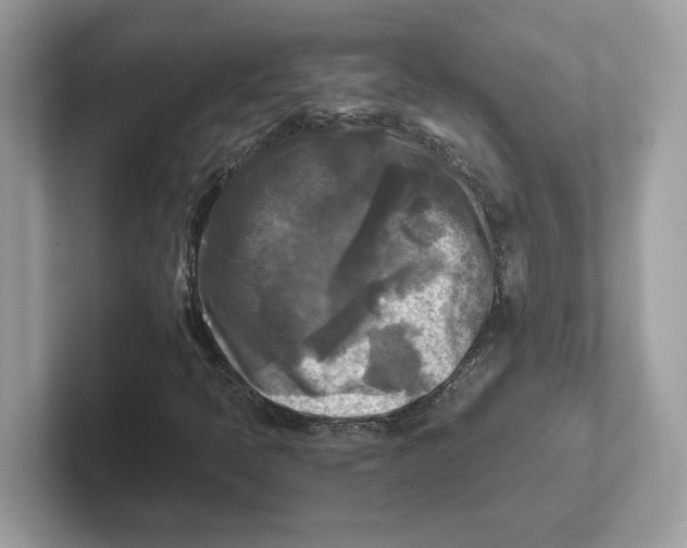 X0000100941397200807221148