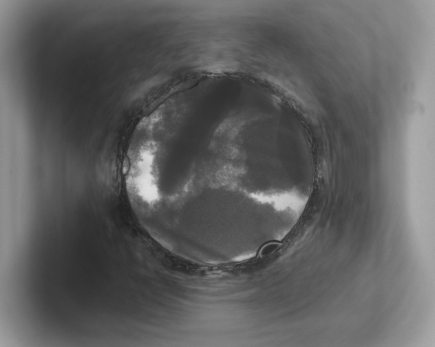 X0000100941398200807221148