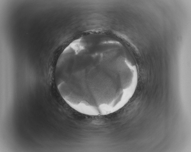 X0000100941399200807221148