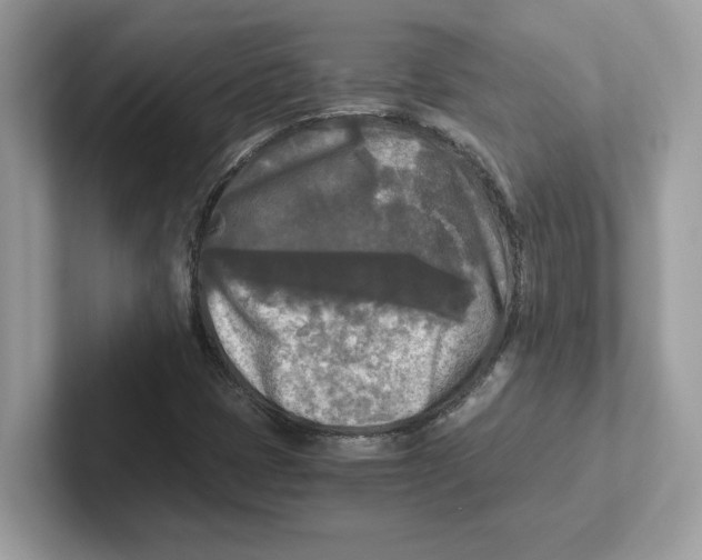 X0000100941401200807221148