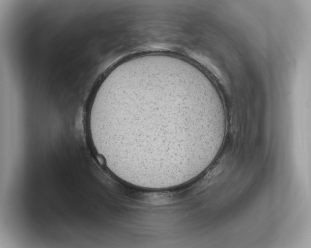 X0000100941404200807221148