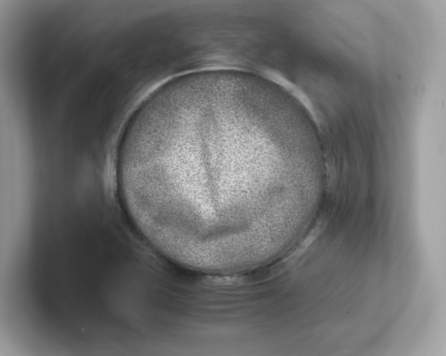 X0000100941415200807221148