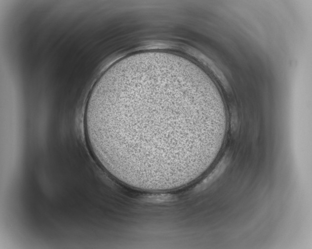 X0000100941417200807221148