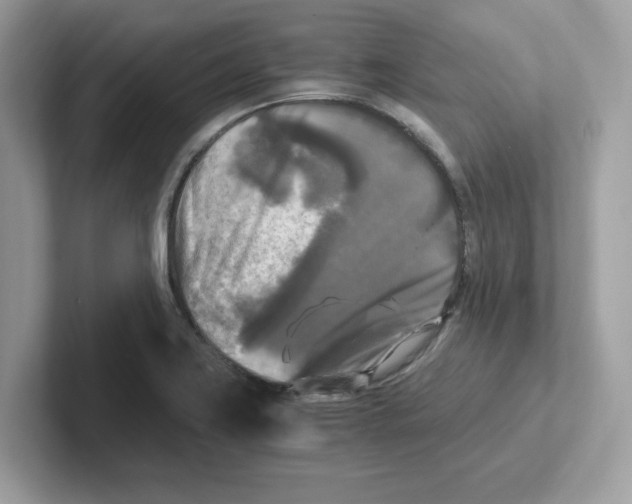 X0000100941419200807221148