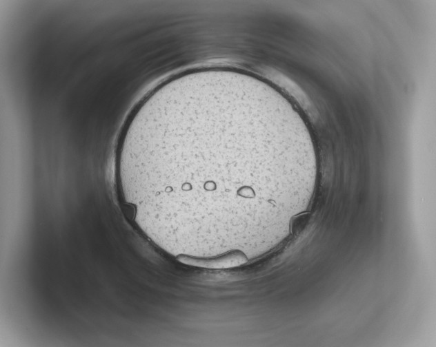 X0000100941420200807221148