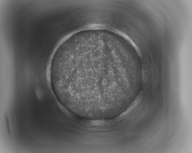 X0000100941421200807221148