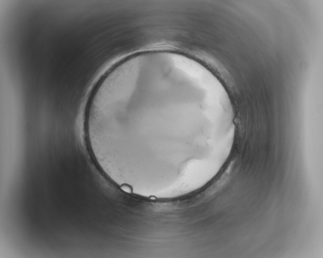 X0000100941422200807221148